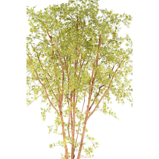 Plante artificielle Aralia Tree PE UV (érable) - intérieur extérieur - H.340cm vert