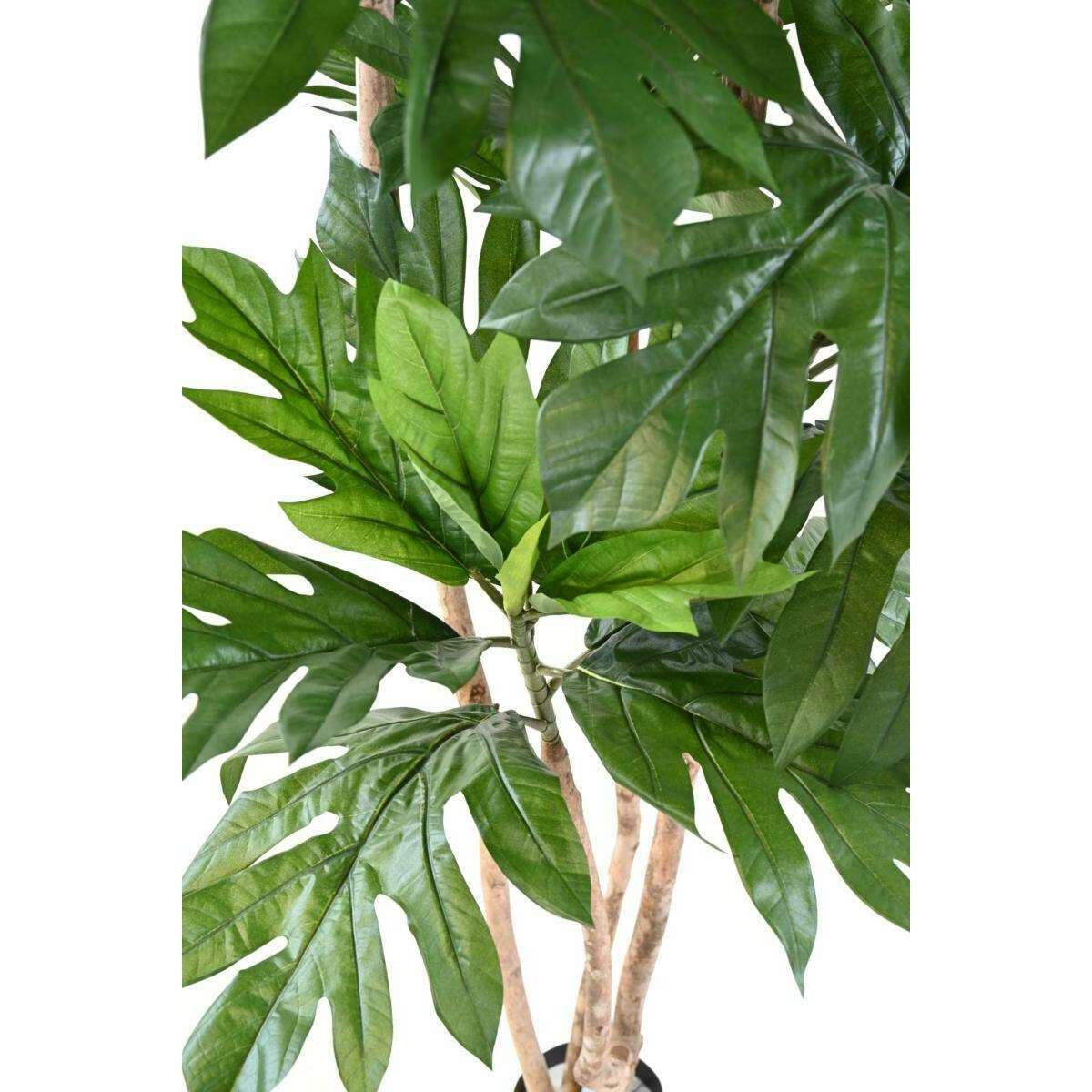 Plante artificielle Artocarpus Altilis - arbre à pain pour intérieur - H.200cm vert