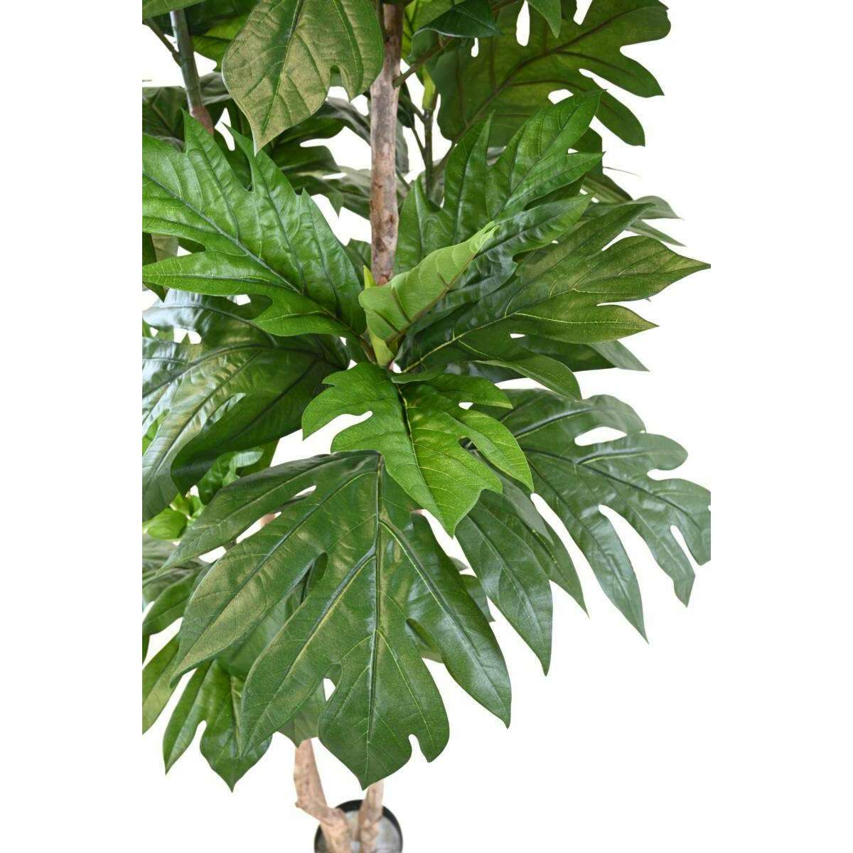 Plante artificielle Artocarpus Altilis - arbre à pain pour intérieur - H.200cm vert