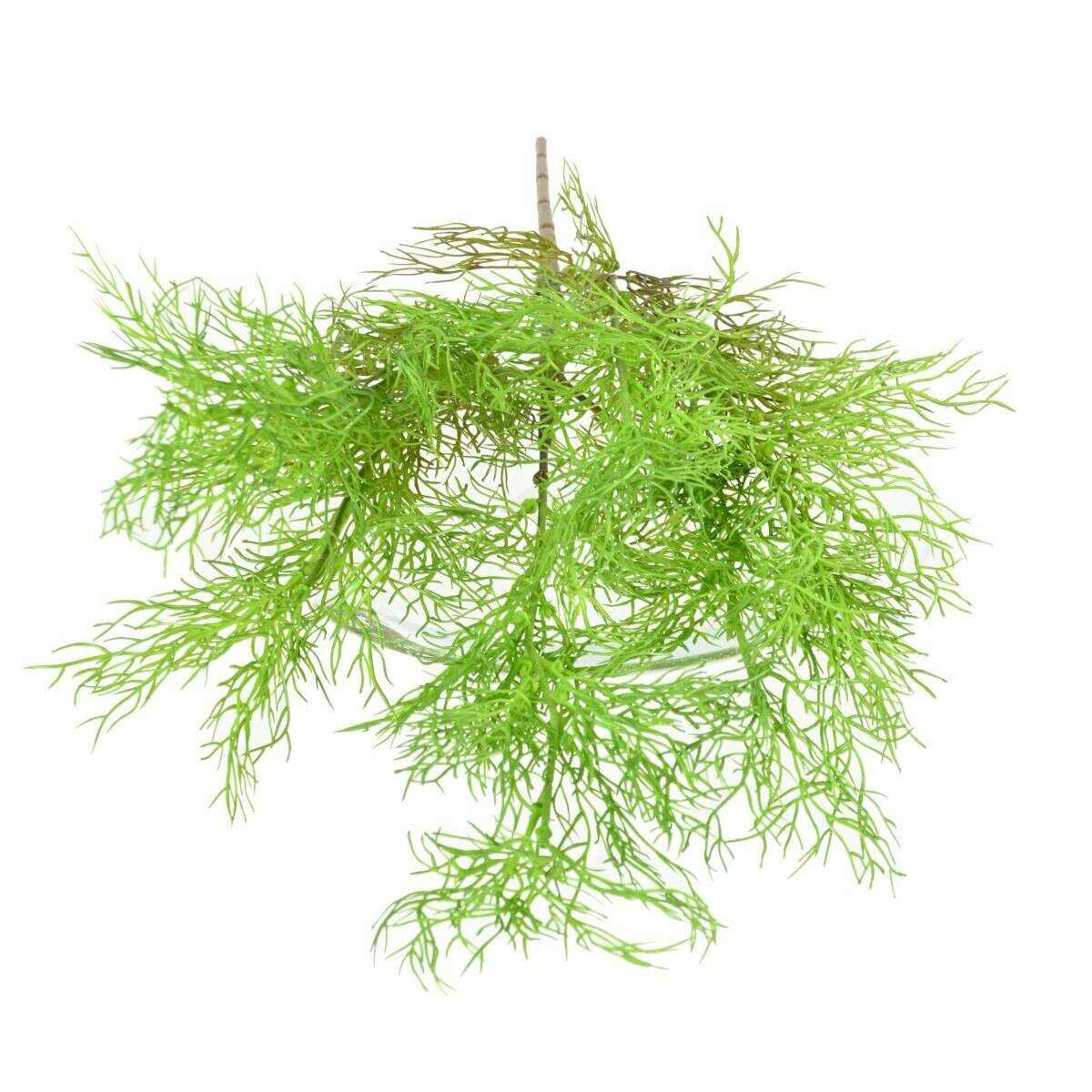 Plante artificielle Asparagus fin en piquet - intérieur extérieur - H.62cm vert