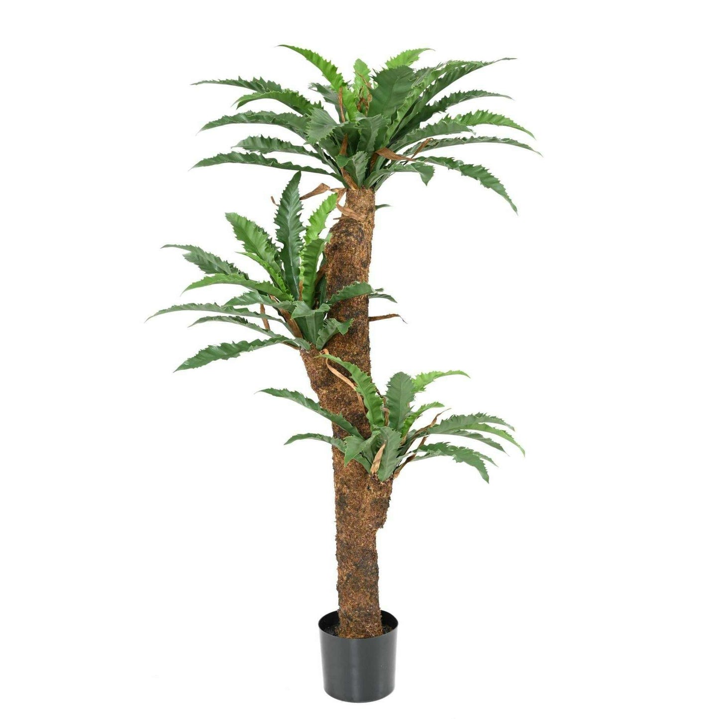 Plante artificielle Asplenium Dakila - décoration d'intérieur - H.130cm