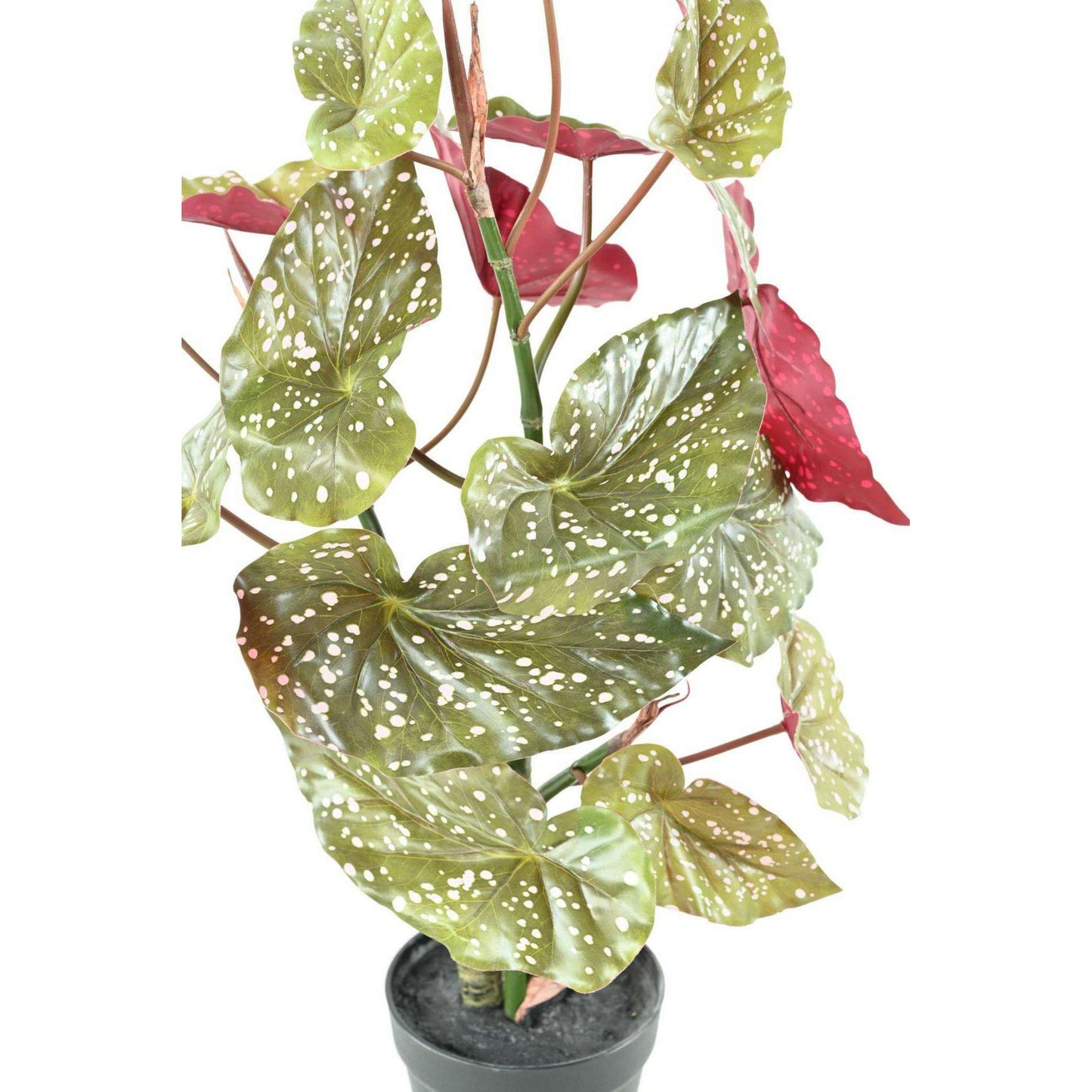 Plante artificielle Begonia maculata - décoration d'intérieur - H.70cm vert rouge