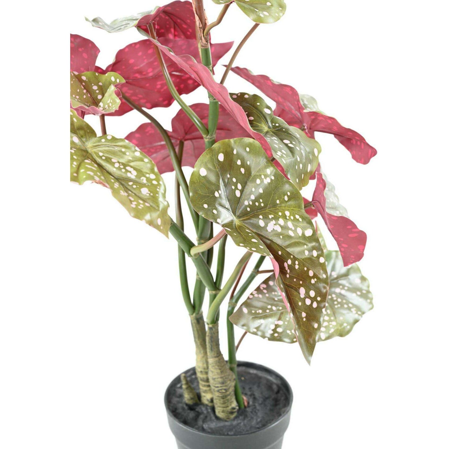 Plante artificielle Begonia maculata - décoration d'intérieur - H.70cm vert rouge