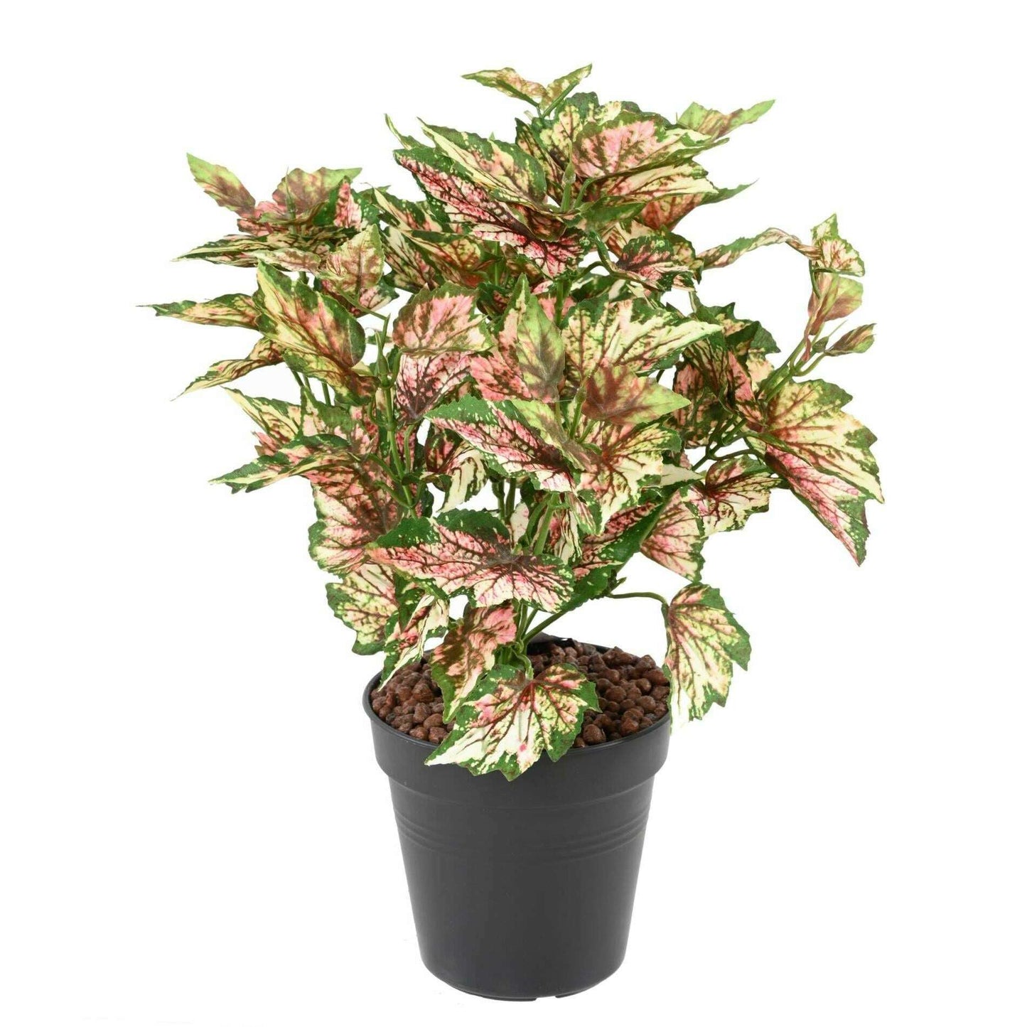 Plante artificielle Begonia rex en piquet - décoration d'intérieur - H.37cm panaché-B3