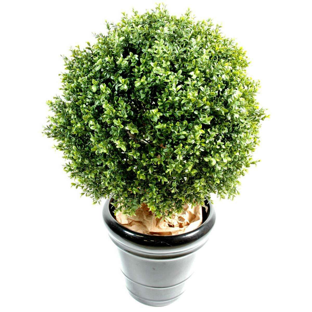 Plante artificielle Buis Boule - intérieur extérieur - Ø.22cm vert ETG MEZZA