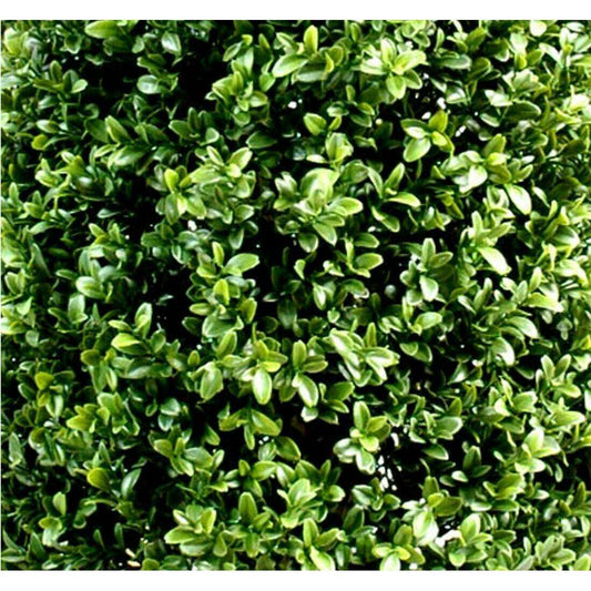 Plante artificielle Buis Boule - intérieur extérieur - Ø.80cm vert
