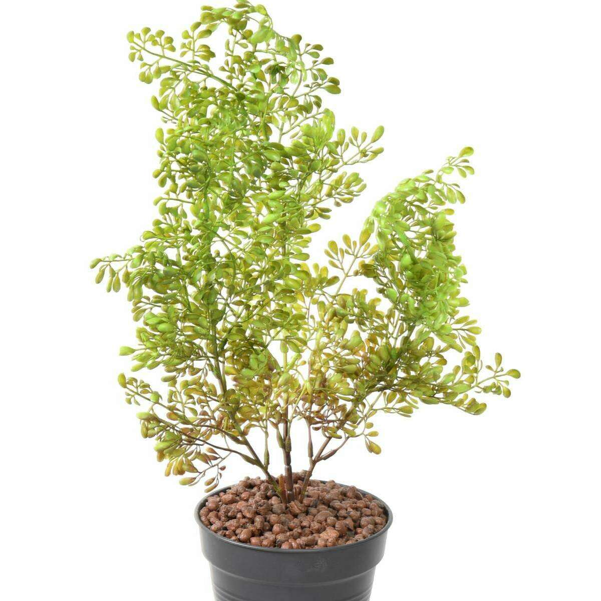Plante artificielle Buxus en piquet - intérieur extérieur - H.50cm vert foncé