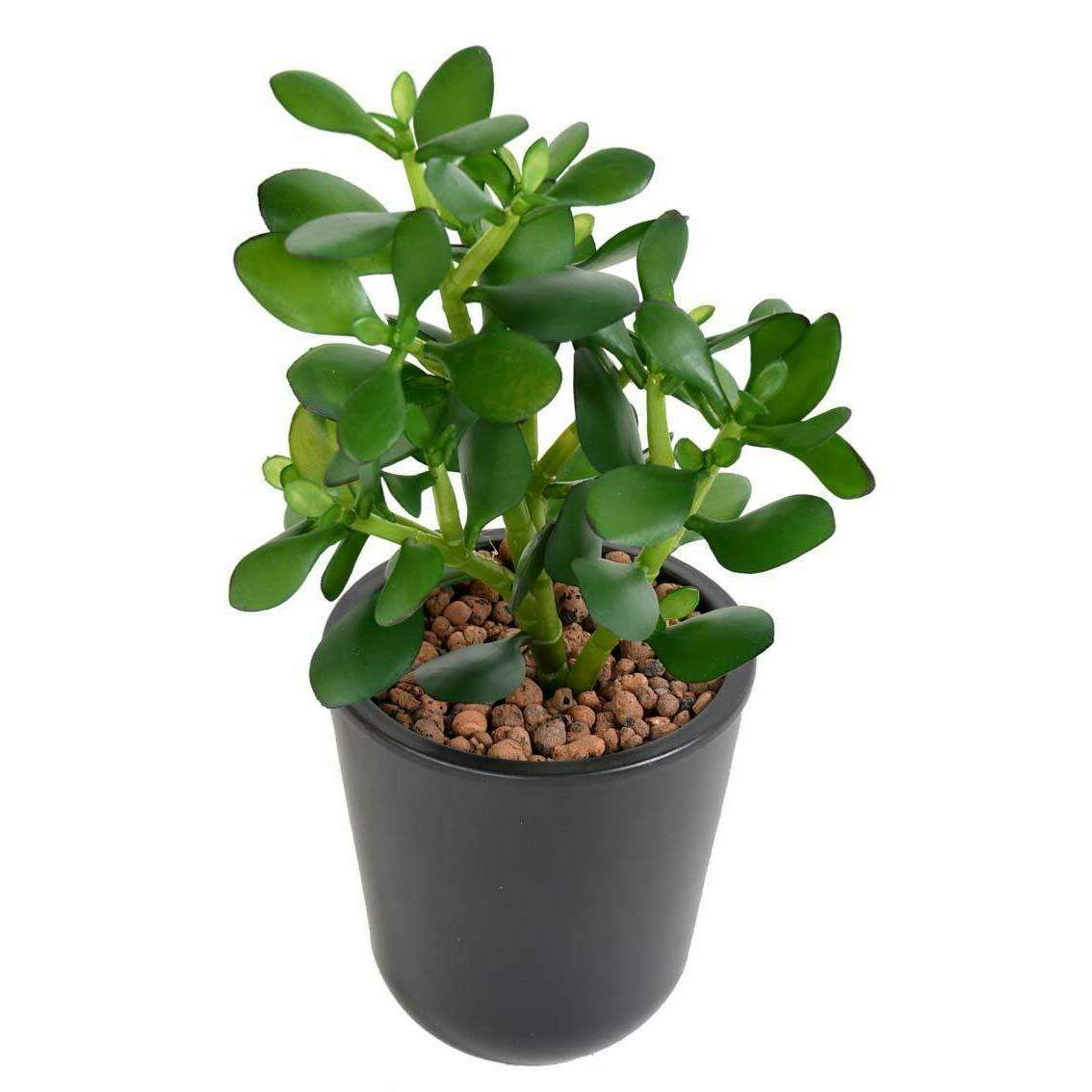 Plante artificielle Cactus Crassula Jade en piquet - plante synthétique - H.38cm D4