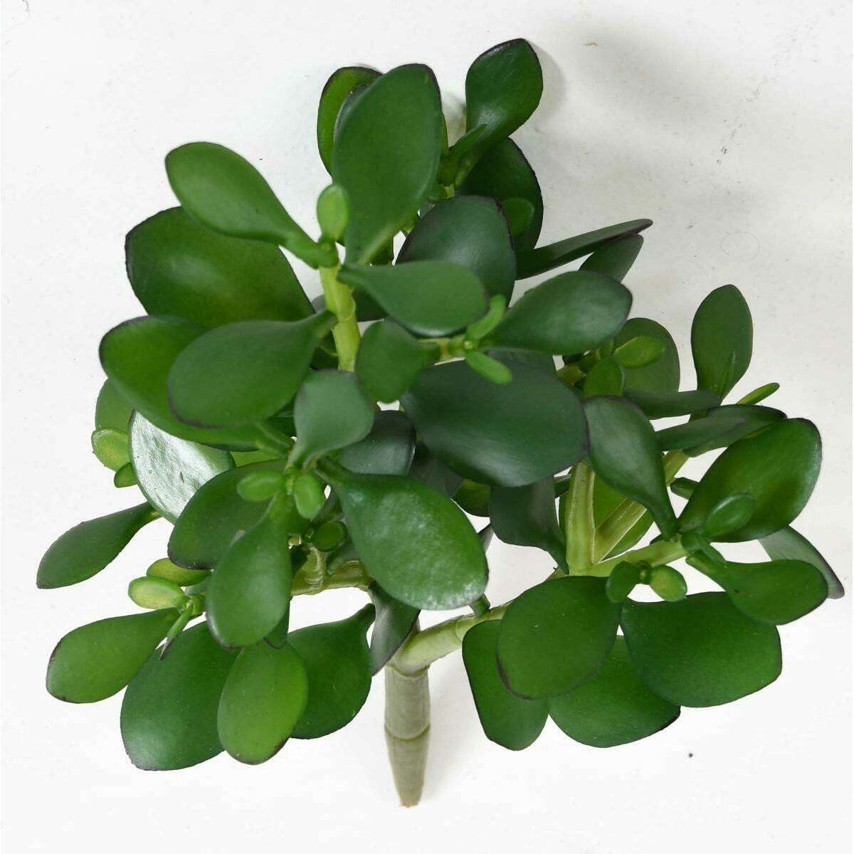Plante artificielle Cactus Crassula Jade en piquet - plante synthétique - H.38cm