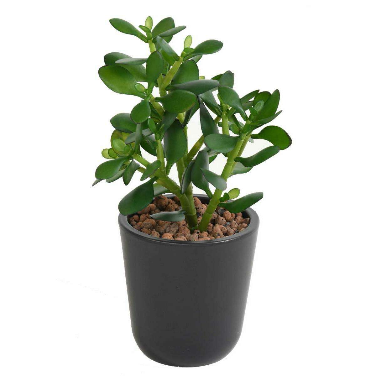 Plante artificielle Cactus Crassula Jade en piquet - plante synthétique - H.38cm
