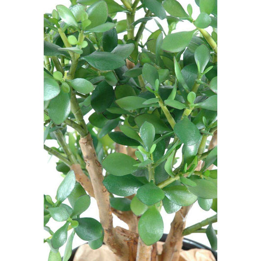 Plante artificielle Cactus Crassula large - plante synthétique - H.65 cm vert