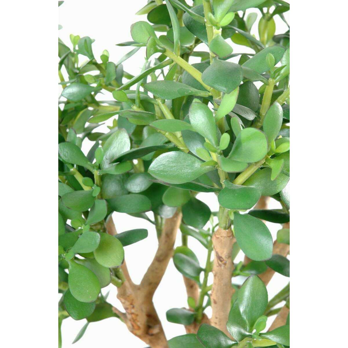 Plante artificielle Cactus Crassula large - plante synthétique - H.65 cm vert