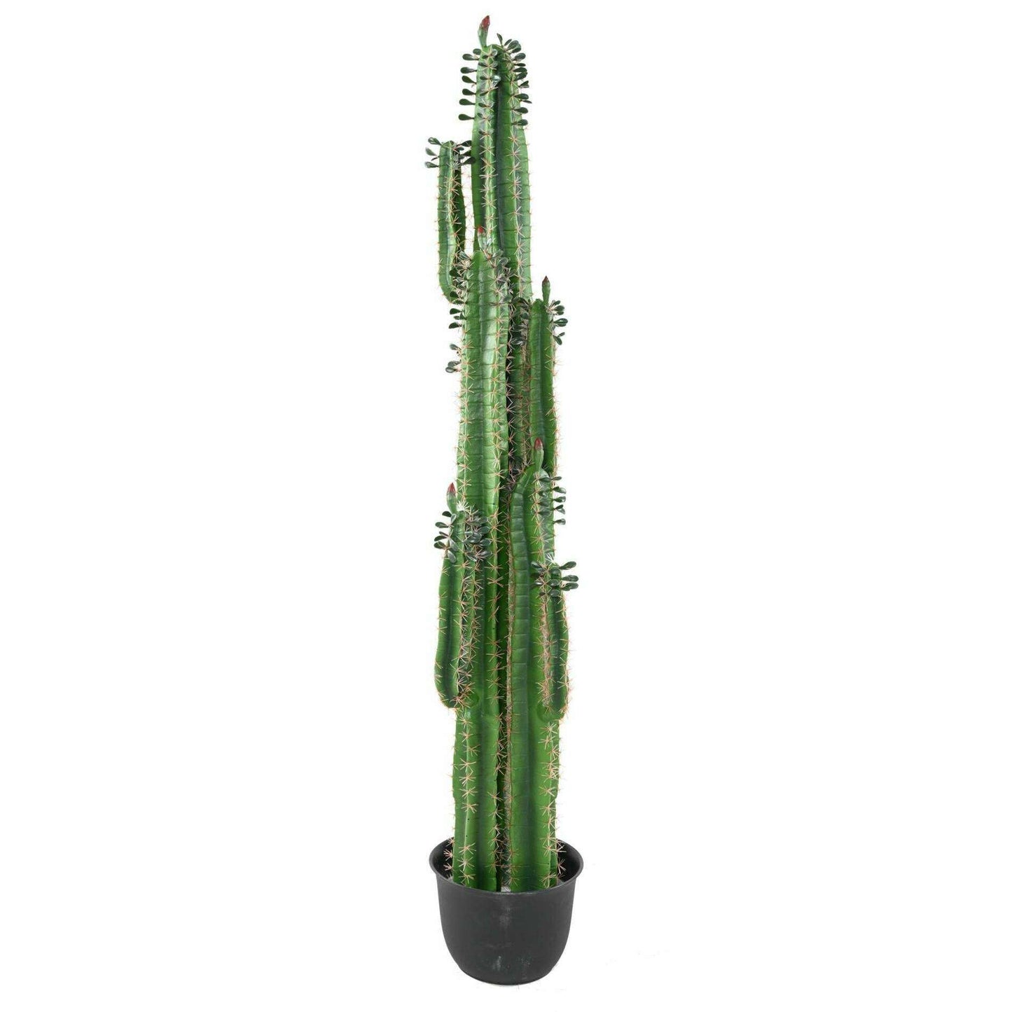 Plante artificielle Cactus Finger avec feuilles - Plante pour intérieur - H.185cm vert