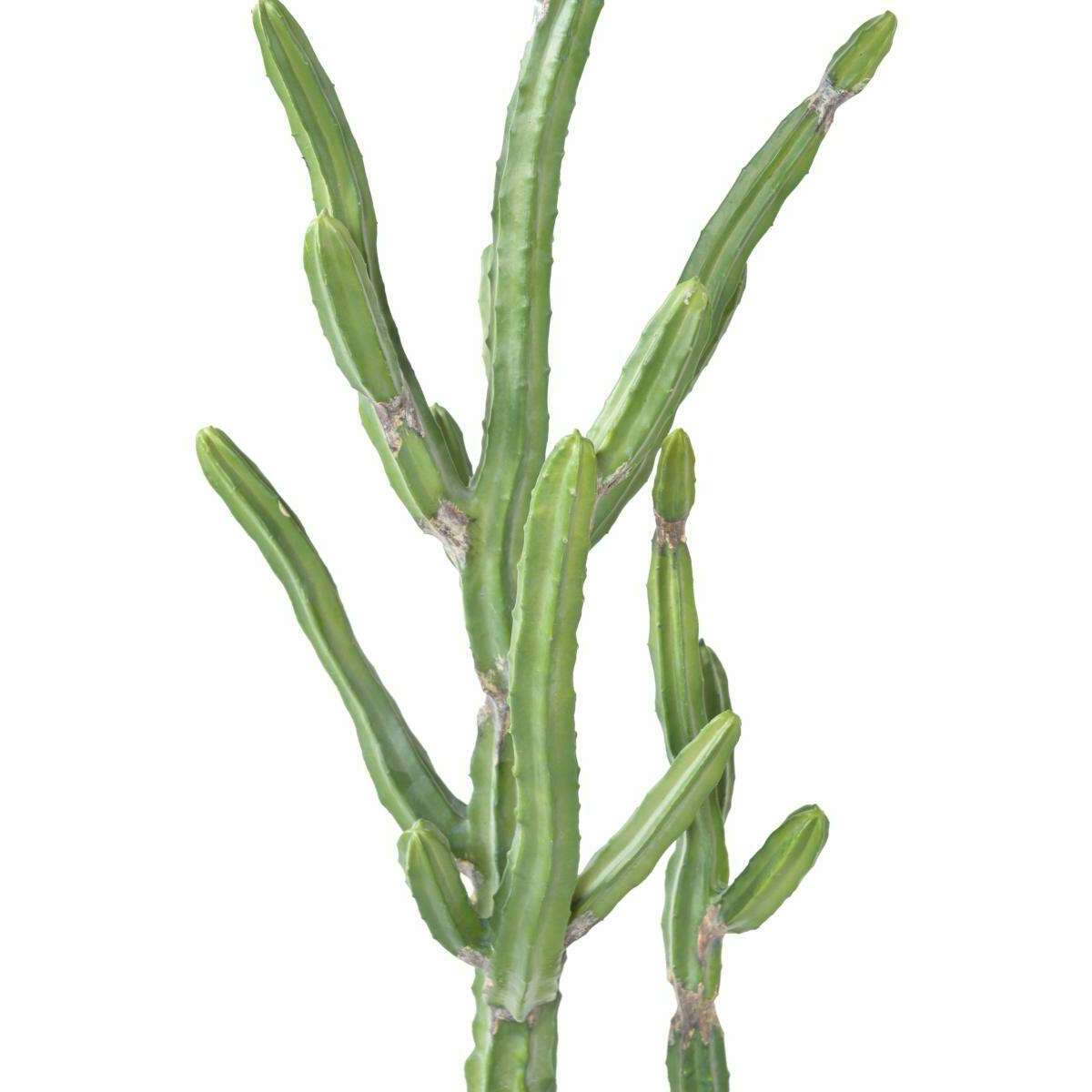 Plante artificielle Cactus Finger F - Plante pour intérieur - H.120cm vert