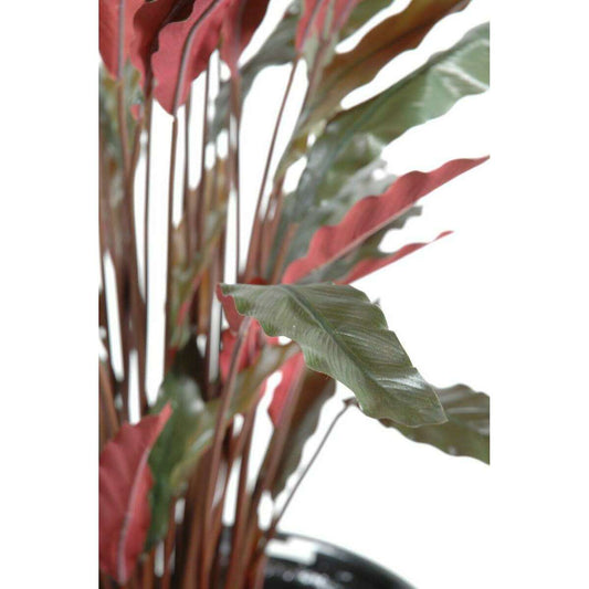 Plante artificielle Calathea - décoration d'intérieur - H.85cm vert rouge