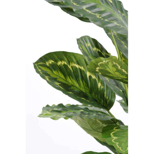 Plante artificielle Calathea Roseopicta - décoration d'intérieur - H.70cm vert