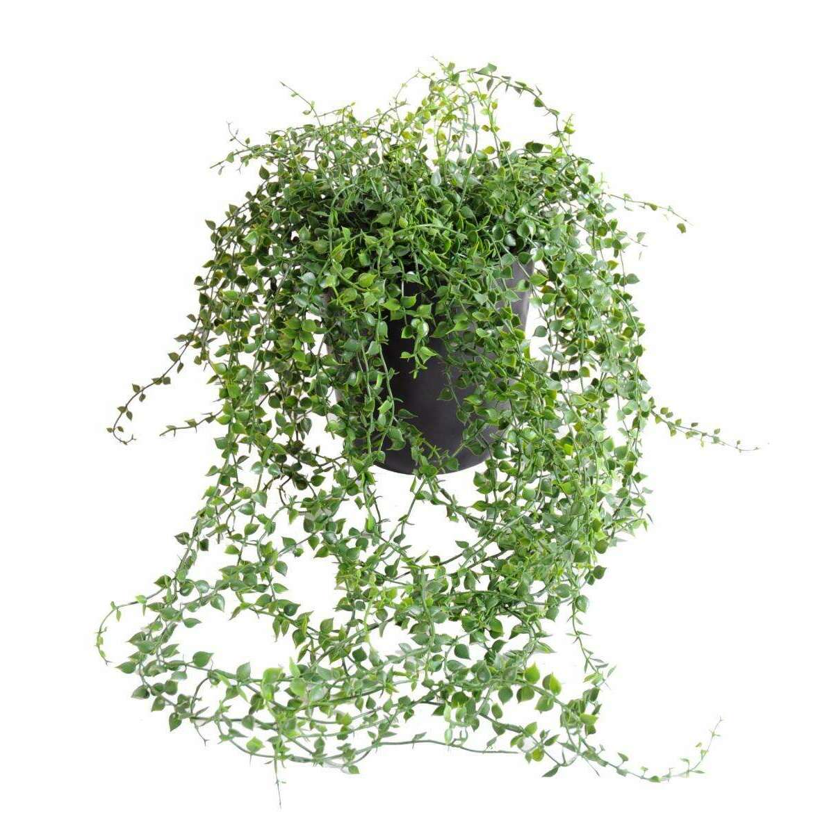 Plante artificielle Callisia en pot - intérieur extérieur - H.70cm vert - O4
