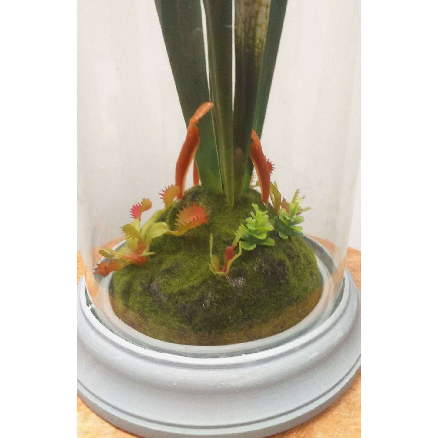 Plante artificielle carnivore sous cloche en verre - déco intérieur - H.46cm vert - R3