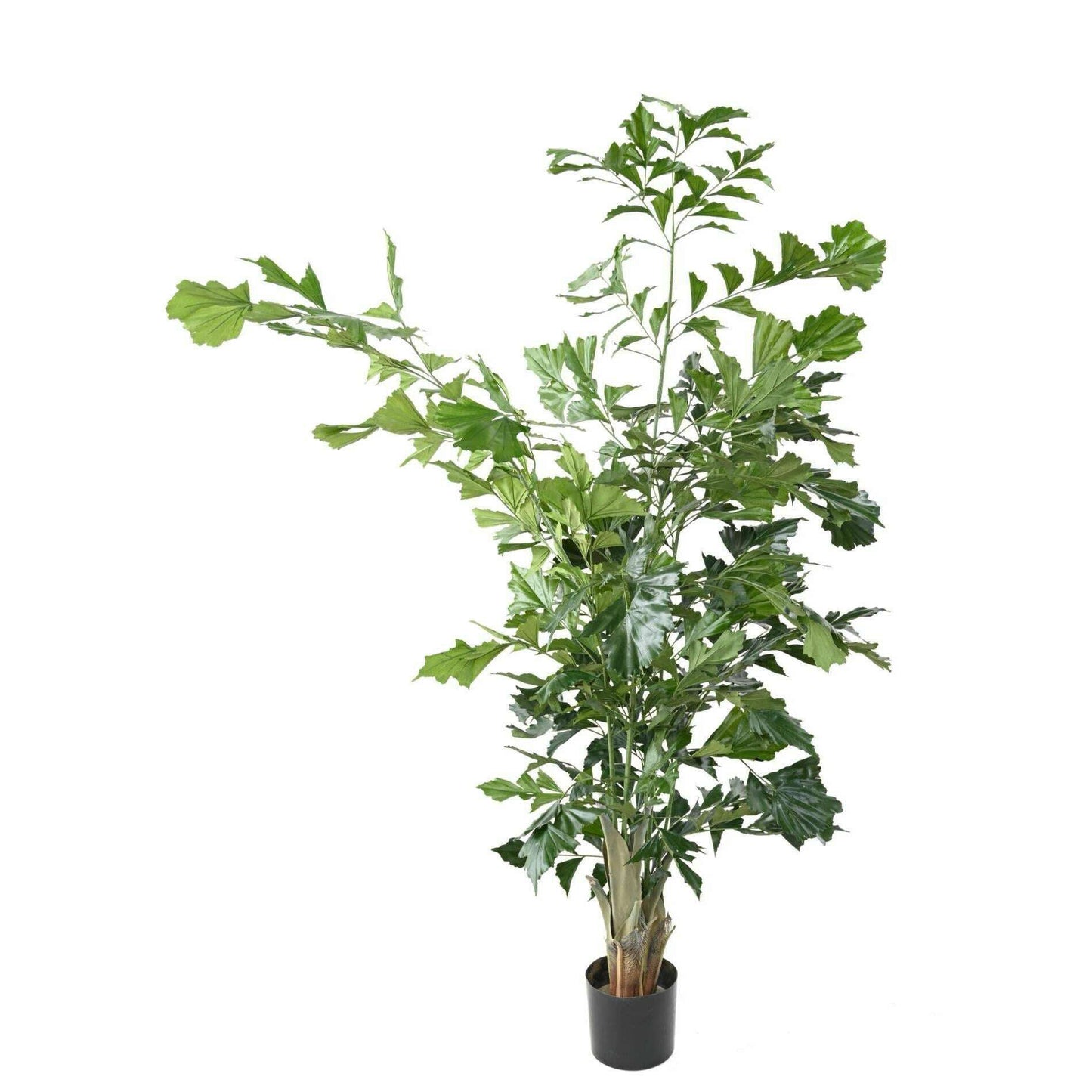 Plante artificielle Caryota - décoration d'intérieur - H.190cm vert