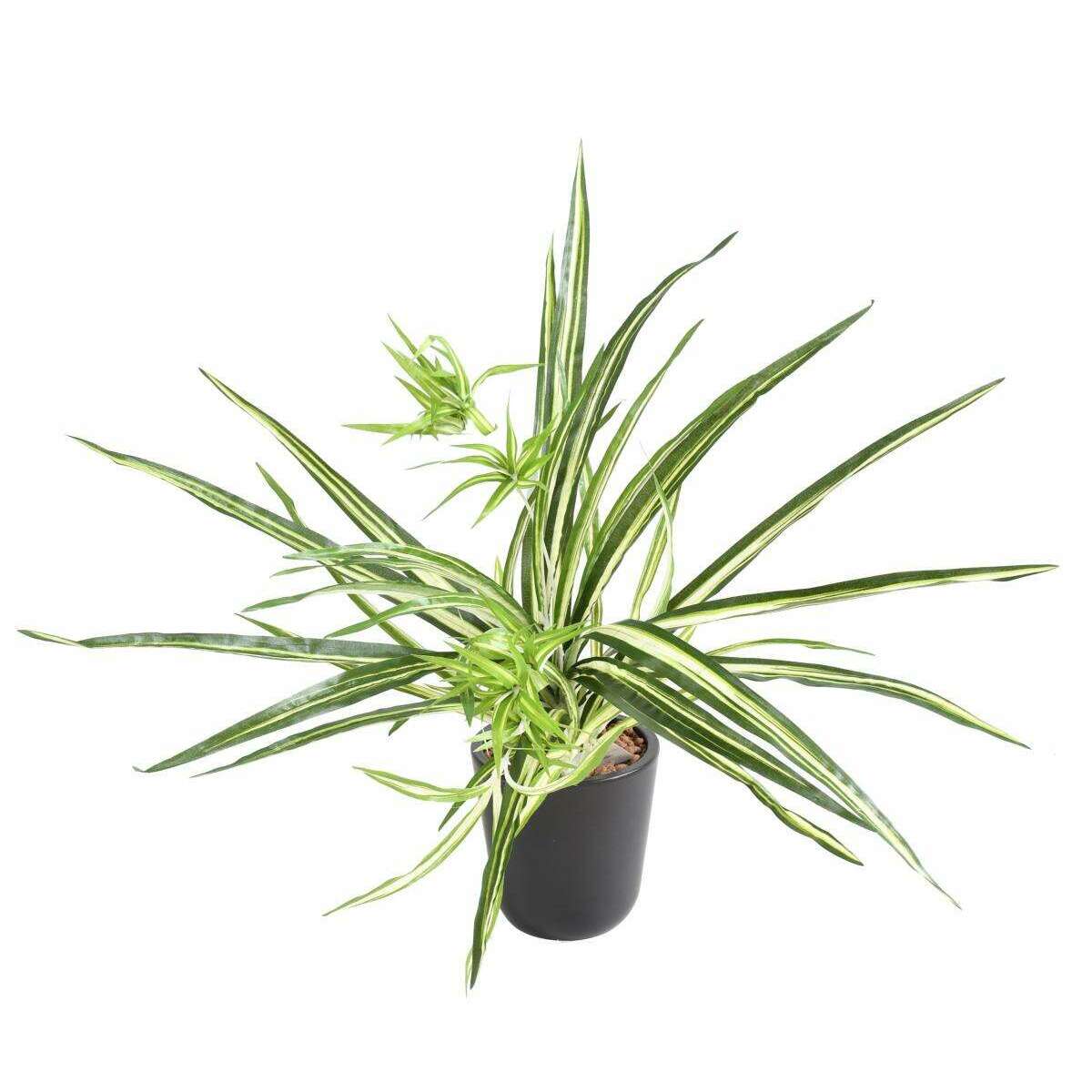 Plante artificielle Chlorophytum en piquet - déco d'intérieur - H.60cm panaché D2