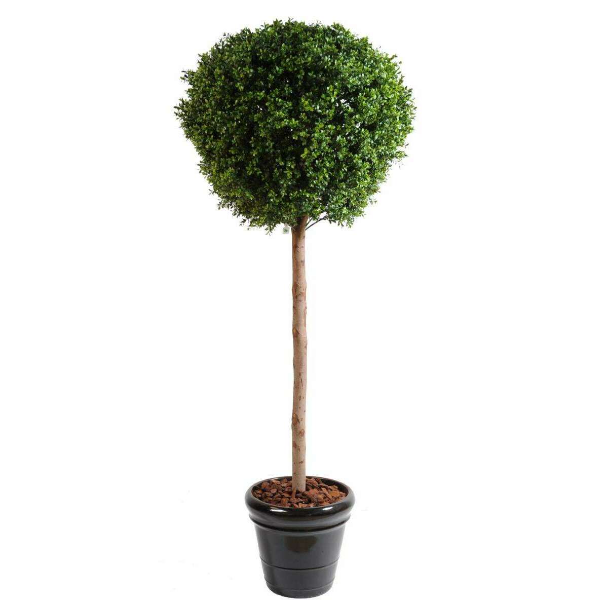 Plante artificielle convient en extérieur Buis tige boule - H.180cm vert B