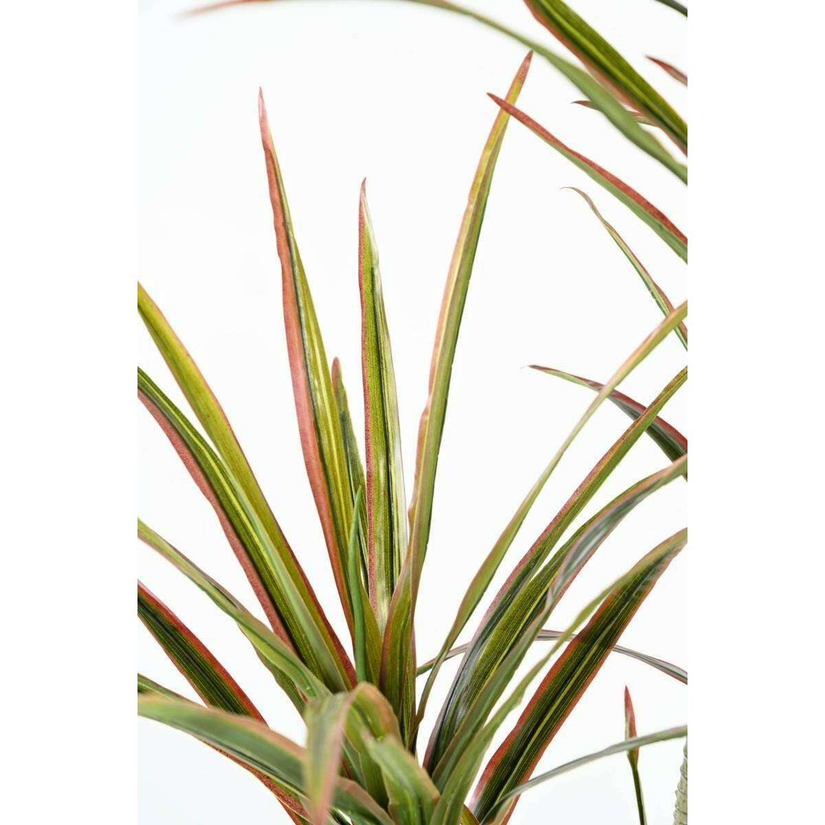 Plante artificielle Dracaena 3 têtes - décoration d'intérieur - H.140cm