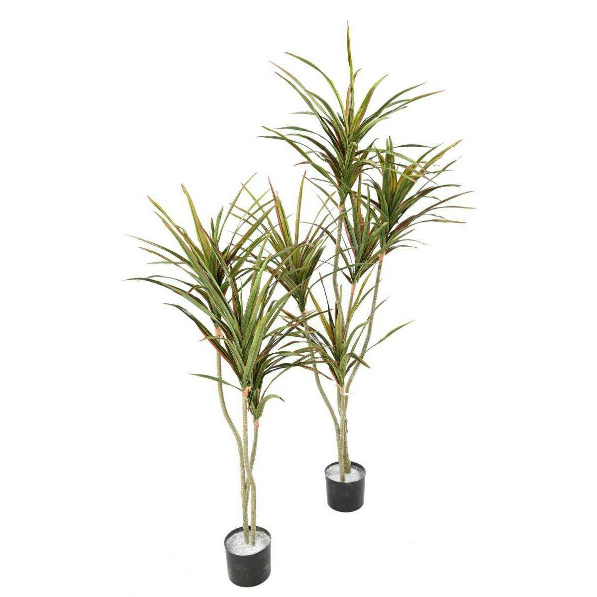 Plante artificielle Dracaena 5 têtes - décoration d'intérieur - H.190cm