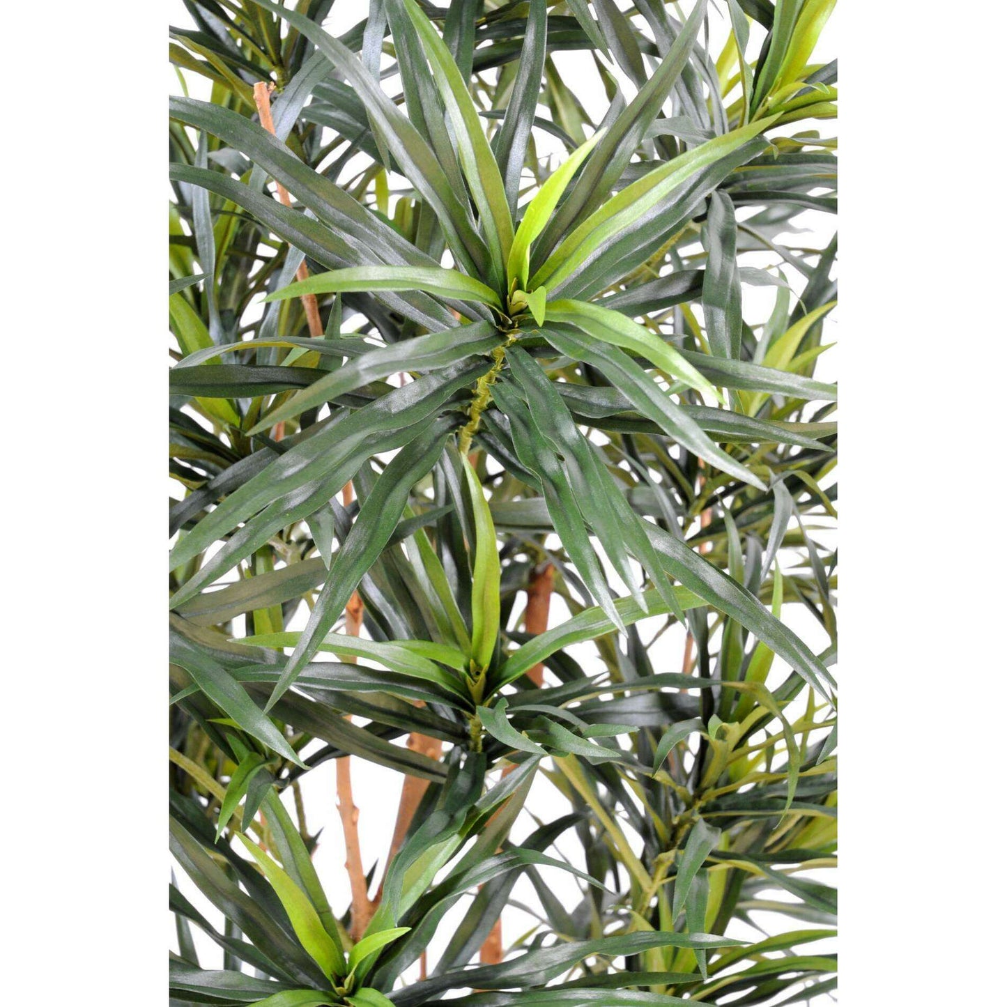 Plante artificielle Dracaena Anita - décoration d'intérieur - H.125cm vert