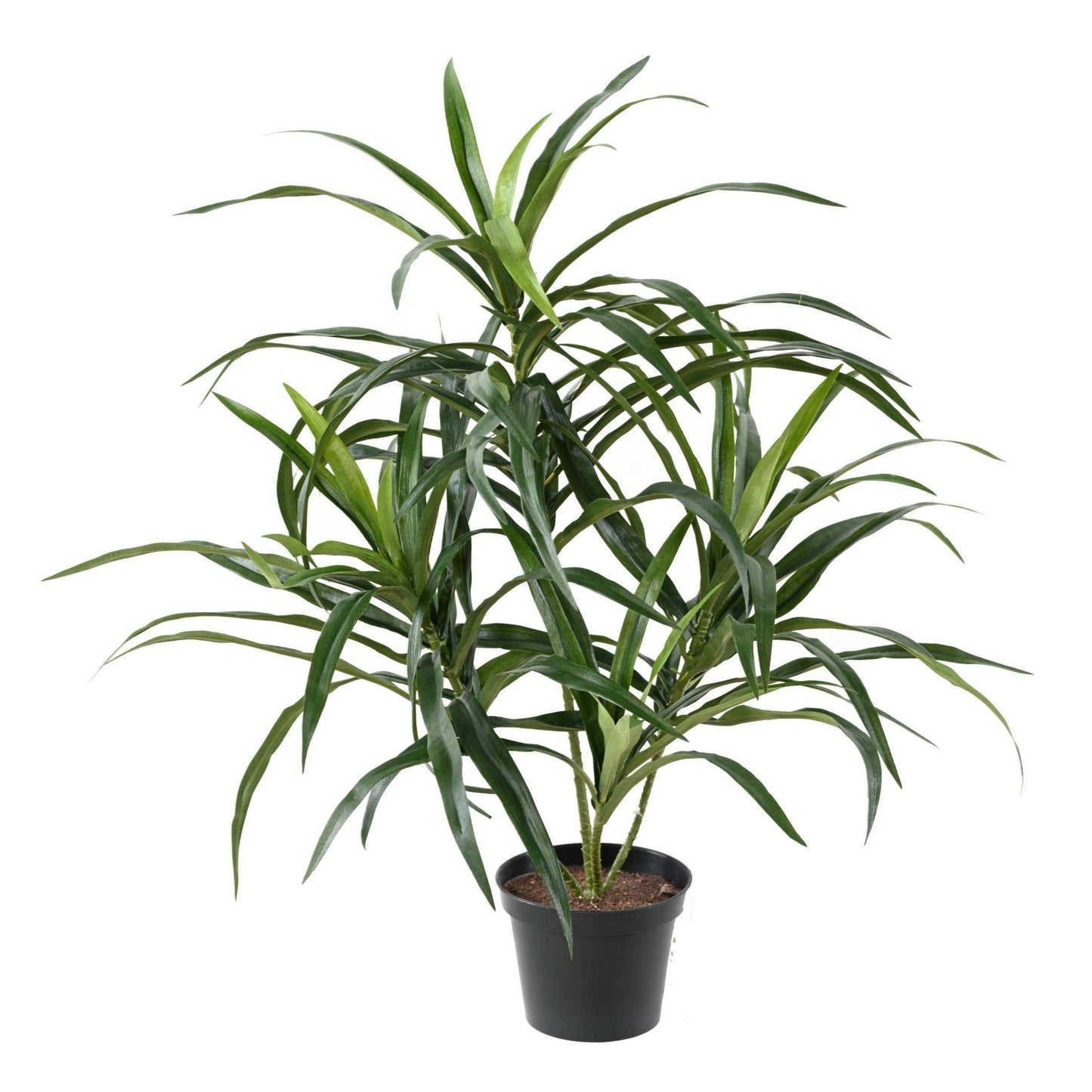 Plante artificielle Dracaena Anita - décoration d'intérieur - H.45cm vert-C5