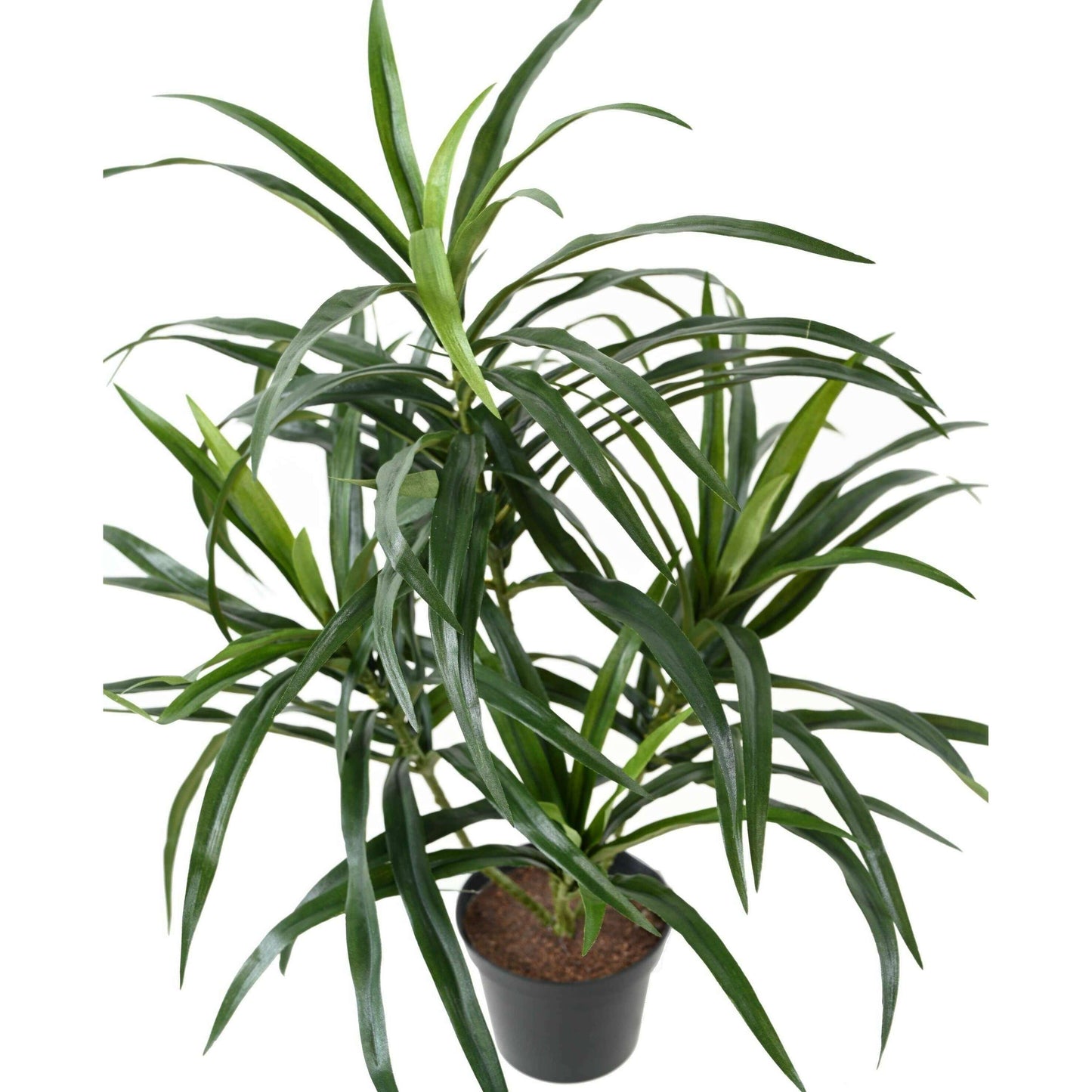 Plante artificielle Dracaena Anita - décoration d'intérieur - H.45cm vert
