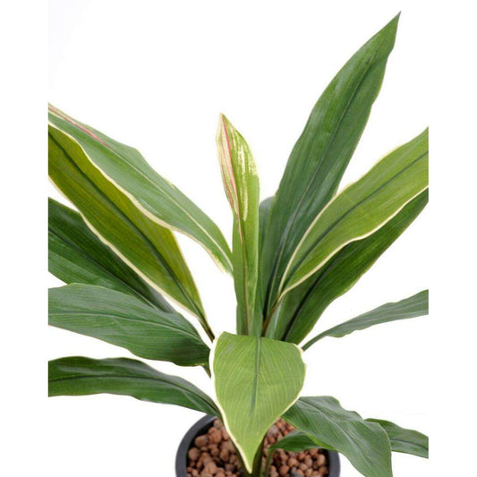 Plante artificielle Dracaena Cordyline en piquet - intérieur - H.60 cm vert jaune