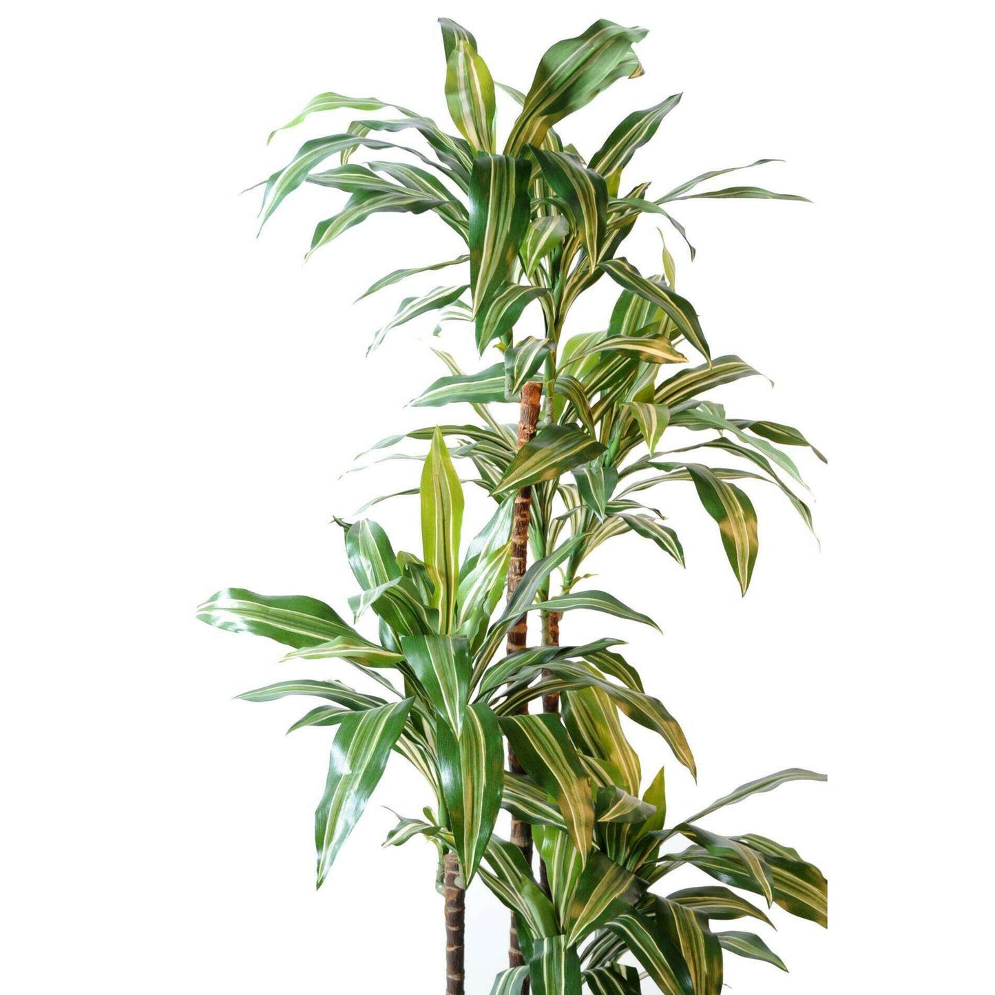 Plante artificielle Dracaena Fragrans 4 tiges - déco d'intérieur - H.145cm