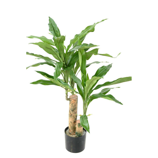 Plante artificielle Dracaena Fragrans Stud - déco d'intérieur - H.60cm vert
