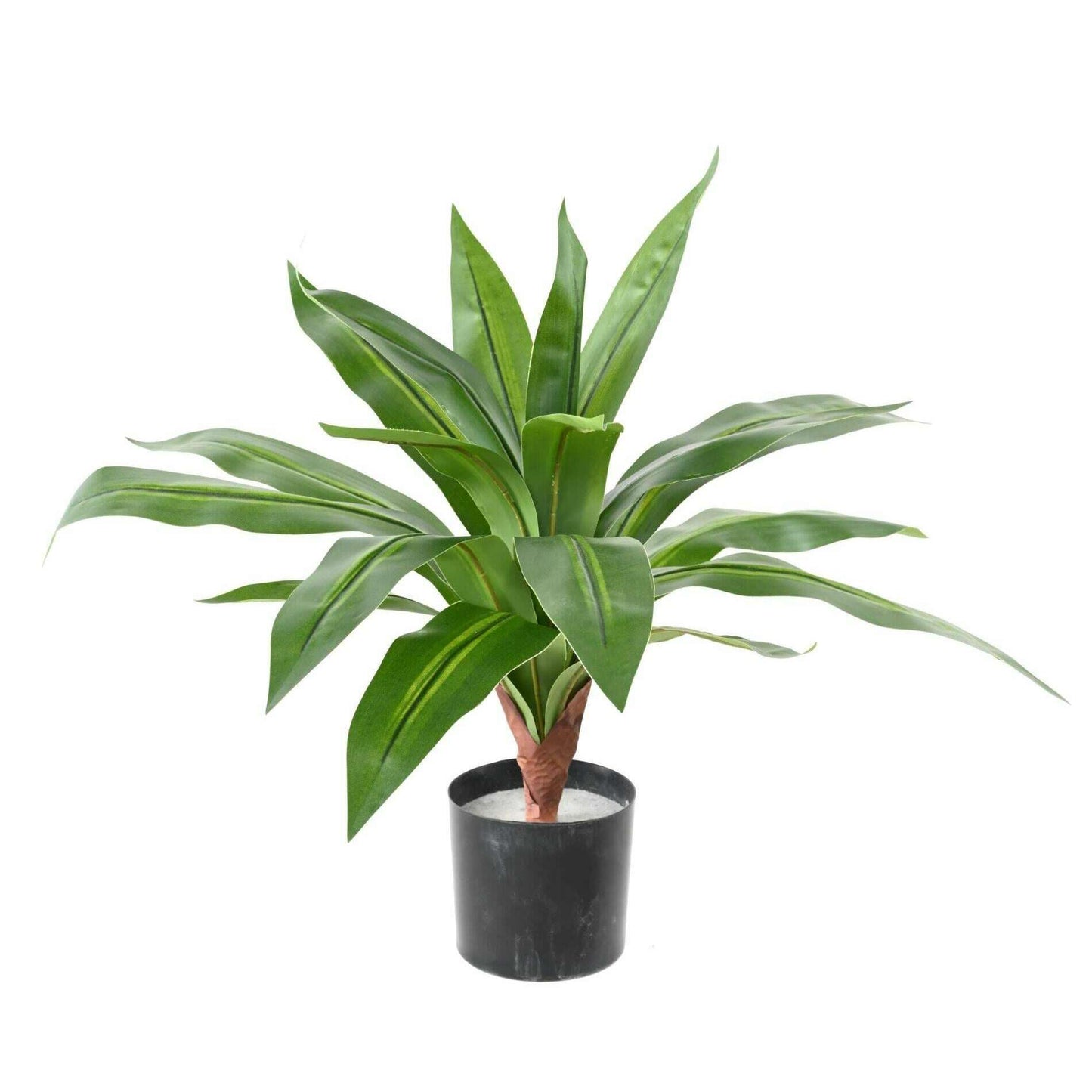 Plante artificielle Dracaena large - décoration d'intérieur - H.55cm vert