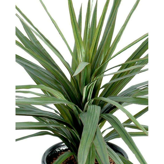 Plante artificielle Dracaena Marginata en piquet - décoration d'intérieur - H.45cm