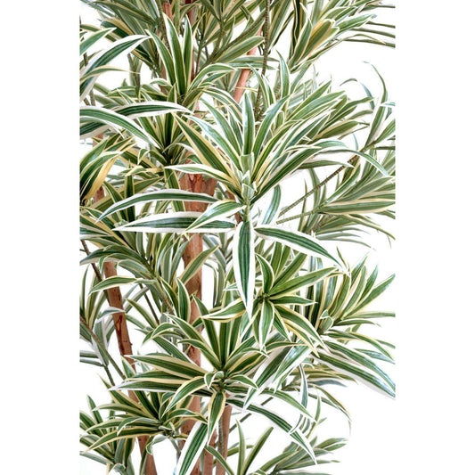 Plante artificielle Dracaena Reflexa - décoration d'intérieur - H.110cm vert jaune