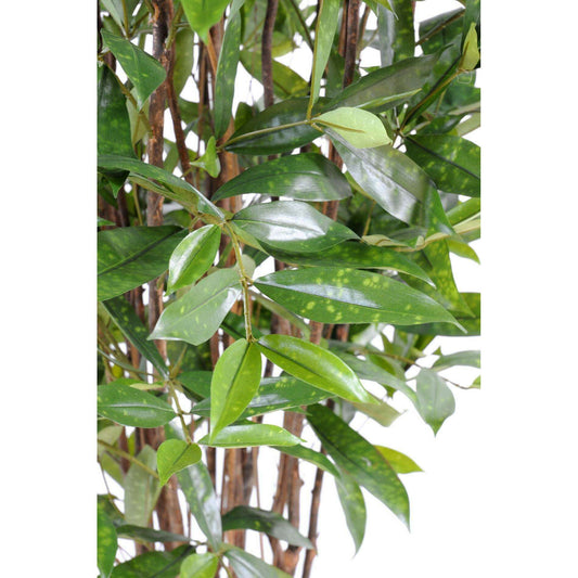 Plante artificielle Dracaena Surculosa - décoration d'intérieur - H.120cm vert