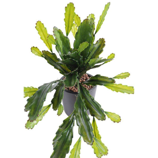 Plante artificielle Epiphyllum en piquet - cactus artificiel extérieur - H.50cm vert