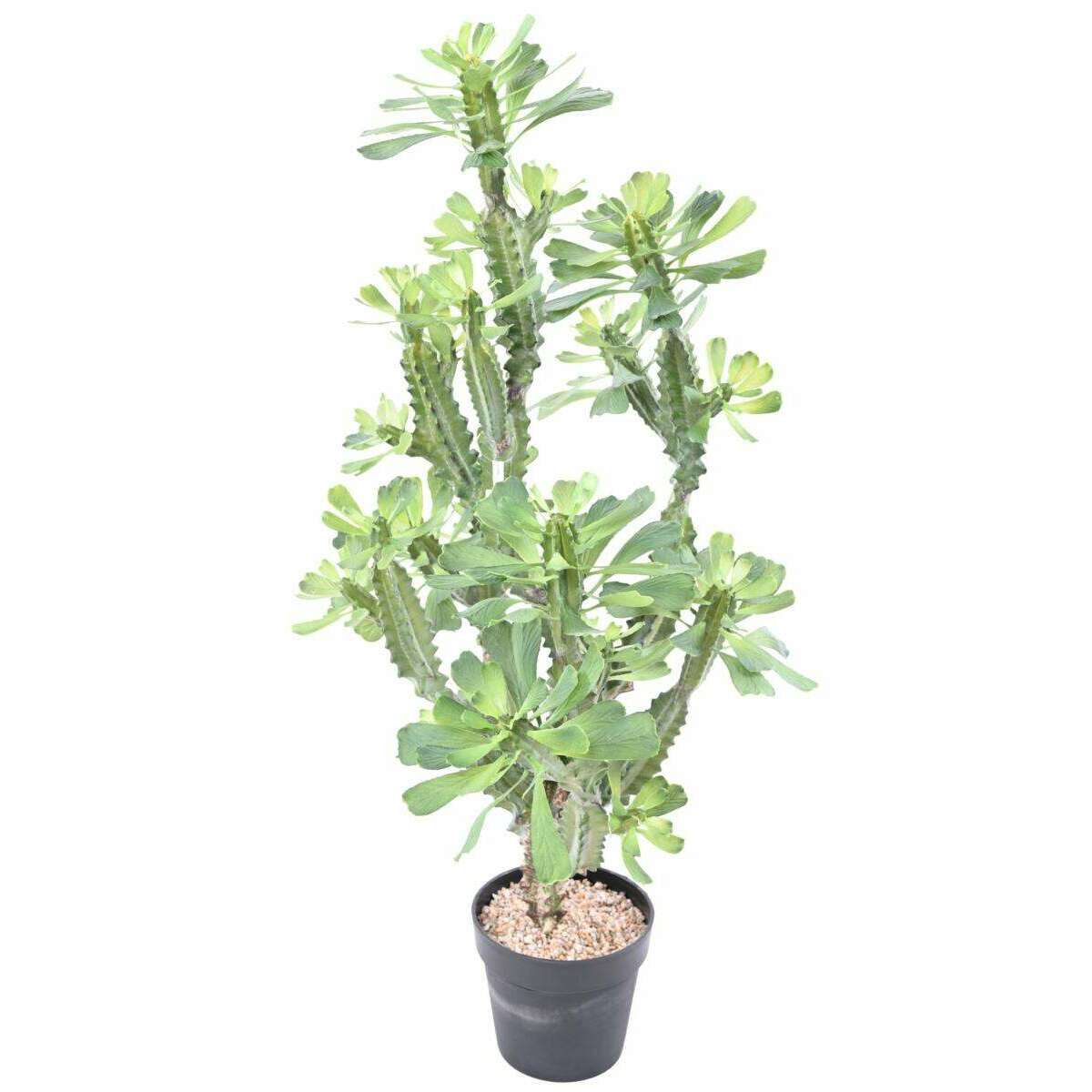 Plante artificielle Euphorbe lactée - Plante pour intérieur - H.110cm vert