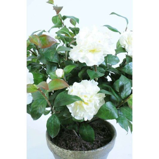 Plante artificielle fleurie Camélia en pot terre - 7 fleurs - H.56cm blanc