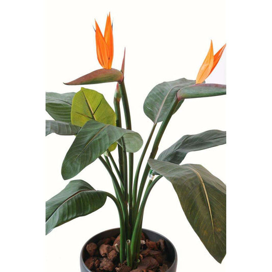 Plante artificielle fleurie Strelitzia 2 fleurs - décoration intérieure - H.85cm