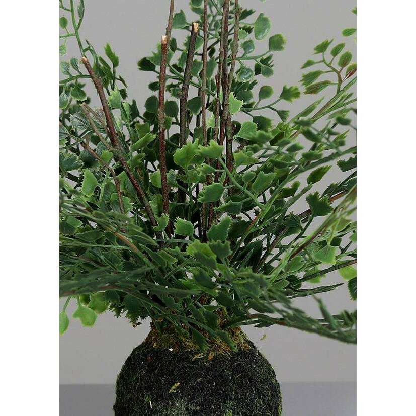 Plante artificielle Fougère avec socle mousse - décoration d'intérieur - H.30cm vert - Q3