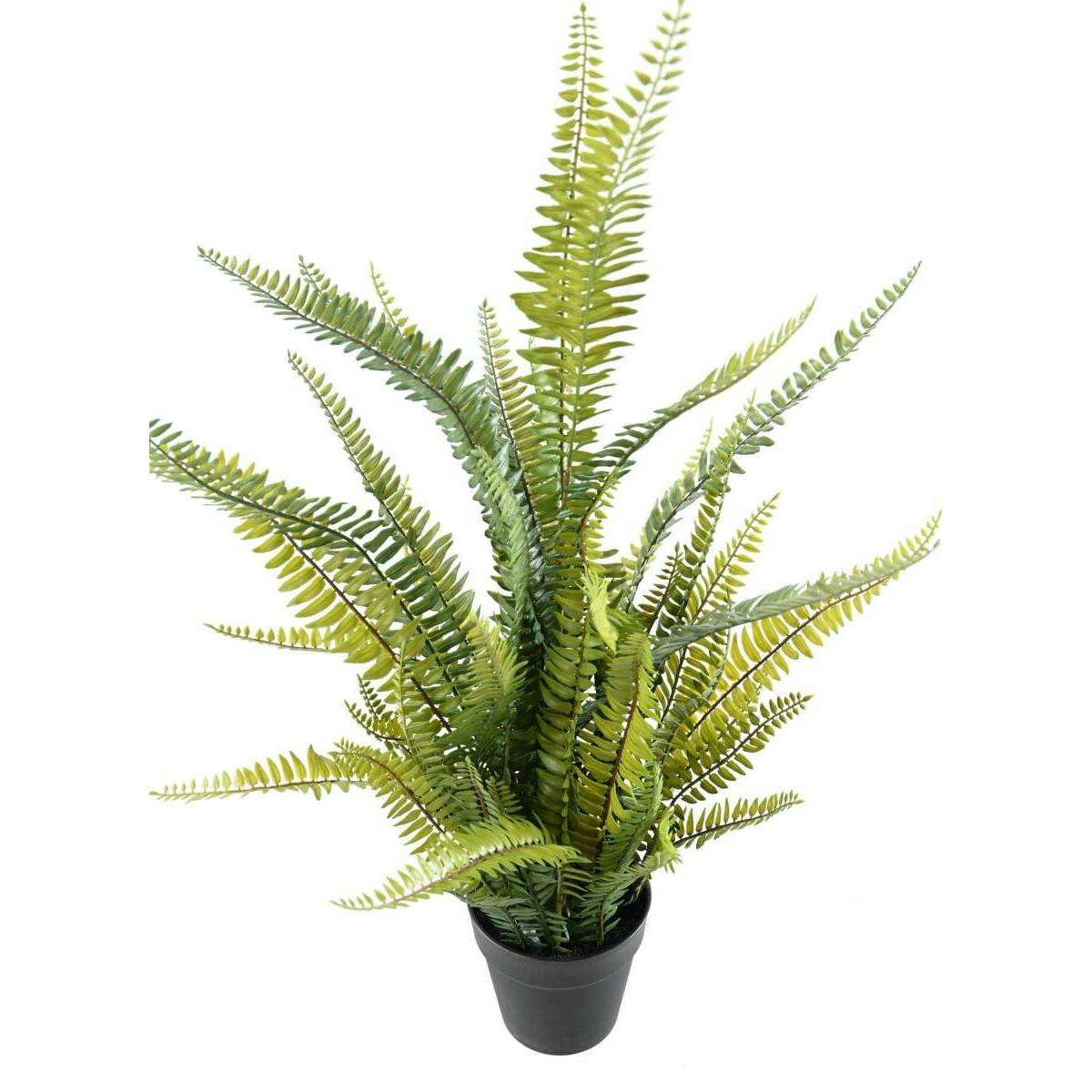 Plante artificielle Fougère Boston Plast. en pot - intérieur - H.75cm vert