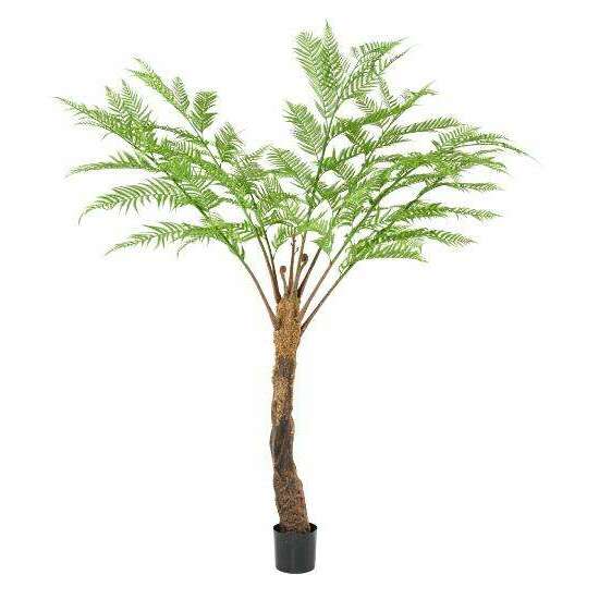 Plante artificielle Fougère Dicksonia 7 branches - décoration d'intérieur - H.240cm
