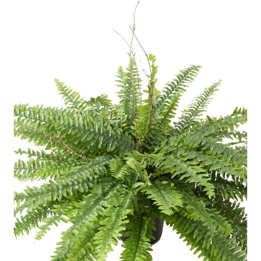 Plante artificielle géante Fougère Boston en pot - décoration d'intérieur - H.80cm