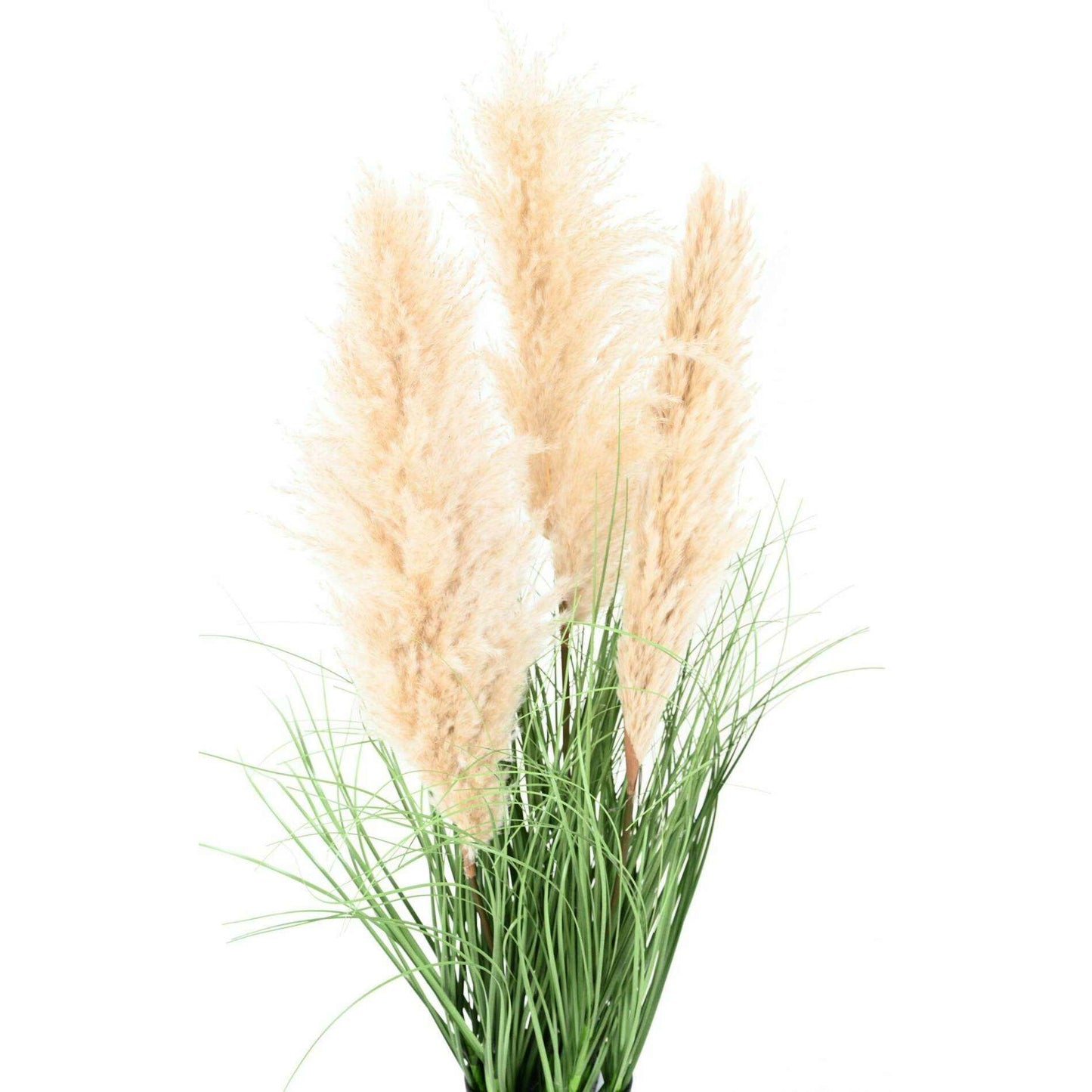 Plante artificielle Graminée Carex - 3 plumeaux naturels - H.105cm vert