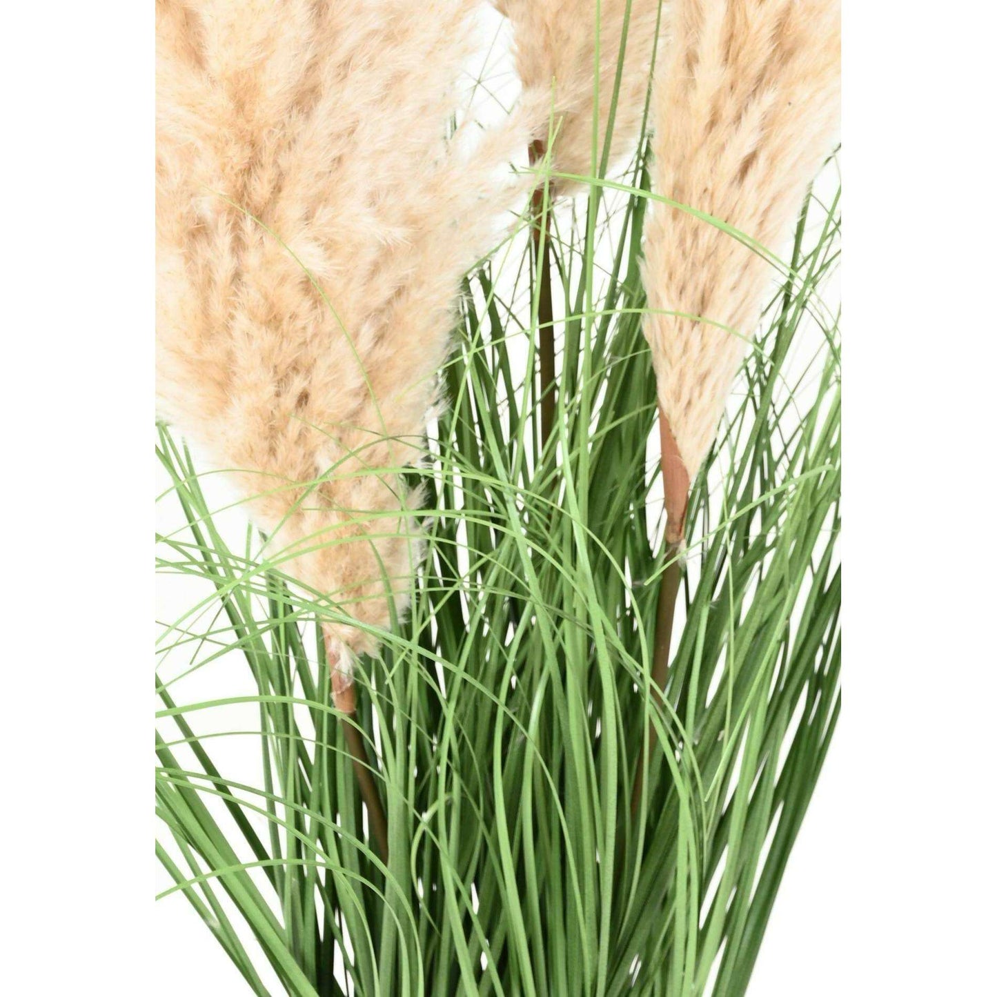 Plante artificielle Graminée Carex - 3 plumeaux naturels - H.105cm vert