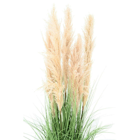 Plante artificielle Graminée Carex - 6 plumeaux naturels - H.150cm vert
