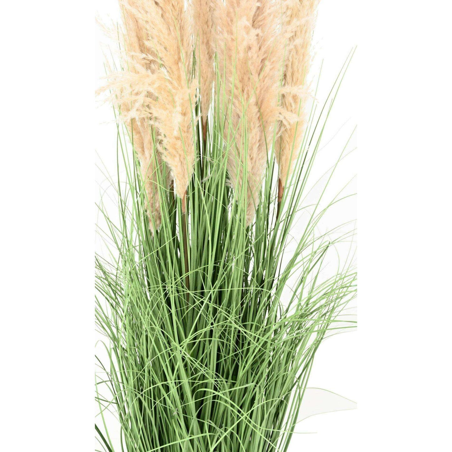 Plante artificielle Graminée Carex - 6 plumeaux naturels - H.150cm vert