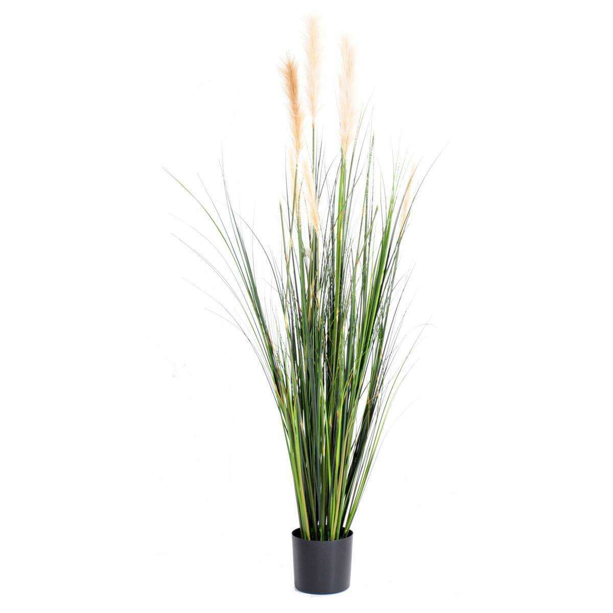 Plante artificielle Graminée Carex GF - intérieur - H. 180 cm vert C